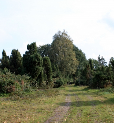 Wanderweg