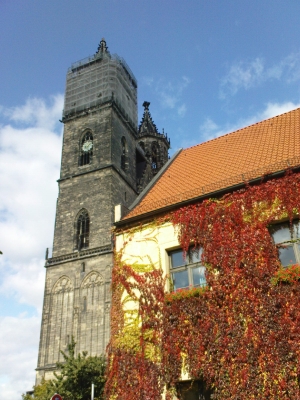 Magdeburger Dom mit Herbstlaub