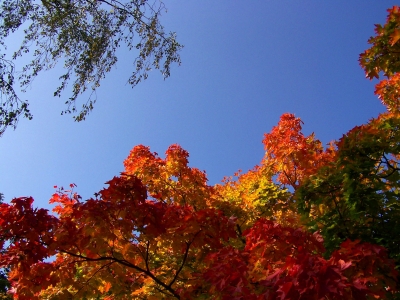 Schöner Herbst 7