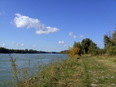 Spaziergang an der Donau