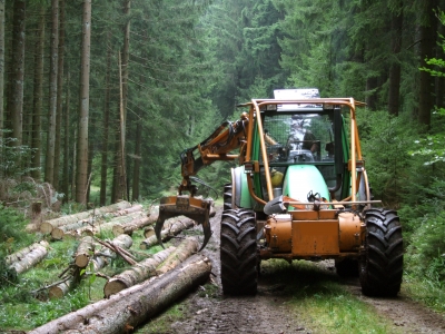 Waldarbeit mit schwerem Gerät