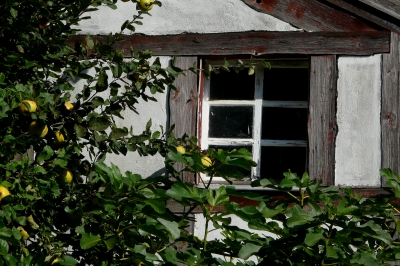 romantisches Fenster zu Kommern im Rheinland #2