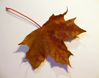 herbst 19 herbst 19
