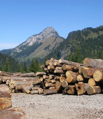 Naturschutzgebiet Hongrin - Holz