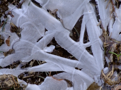 Eis am Feldweg