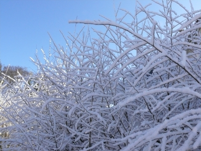 Ein kleiner Vorgeschmack auf den Winter -3-