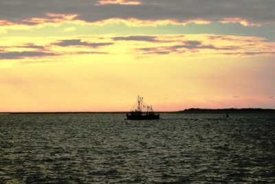 Fischerboot abends vor Amrum