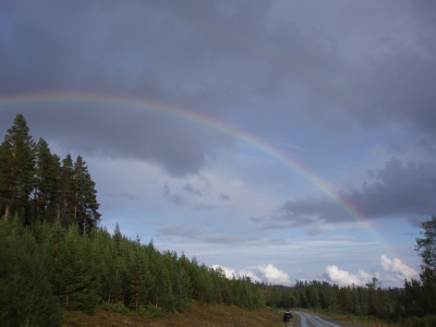 Regenbogen in der Nähe von Särvsjö (SWE)