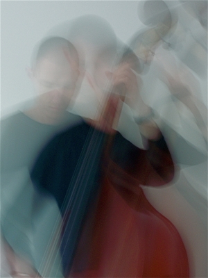 Playing the doublebass 2