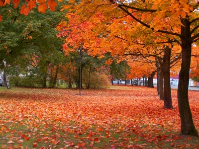 Schöner Herbst 16