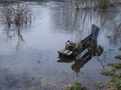 Die Ruhr bei Mülheim-Mintard im Winter