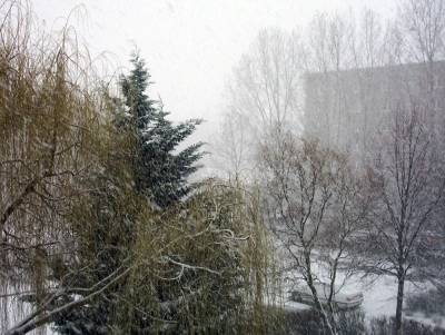Berlin im Schnee 2008