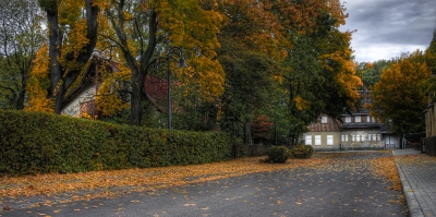 düsterer Herbstweg