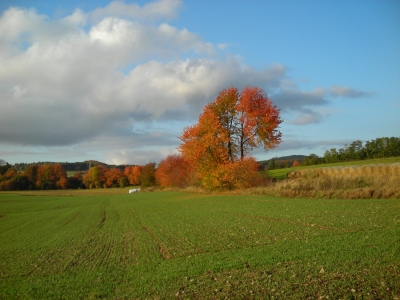 Herbstlandschaft 2