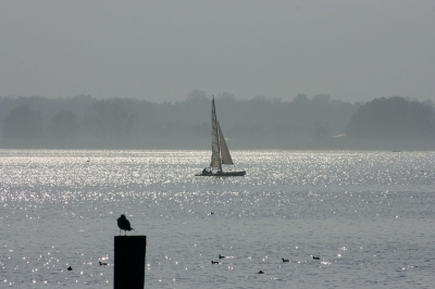 Herbst am Wasser 1