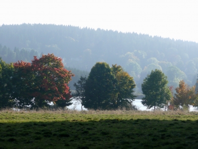 Herbst im Harz