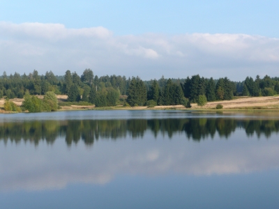 Seenlanschaft im Harz