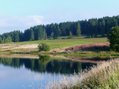 Seenlandschaft im Harz