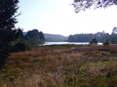 Seenlandschaft im Harz