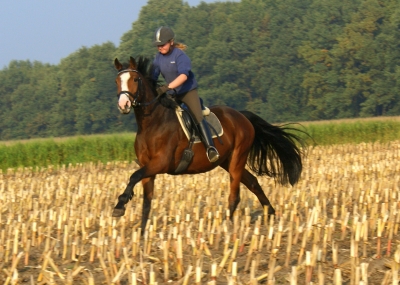 Jagdgalopp auf Kaja