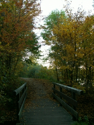 Herbstweg (2)