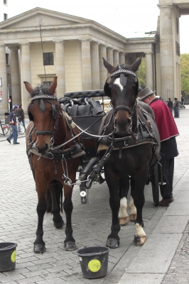 Pferdekutsche in Berlin