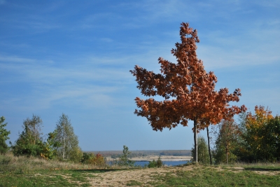 Herbststimmung