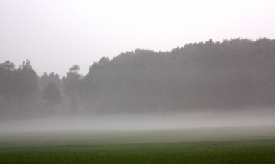 Nebelstreifen über dem Feld