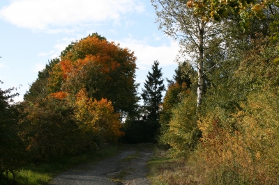 Herbstspaziergang