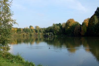 Herbst am See  4