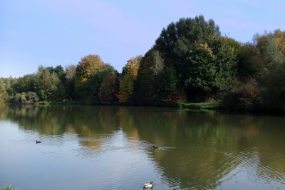 Herbst am See  3