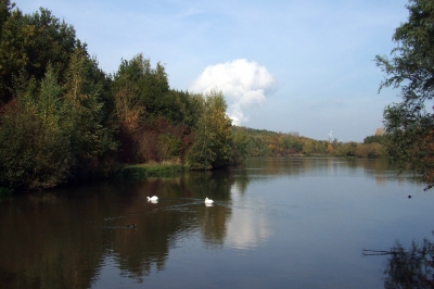 Herbst am See  2