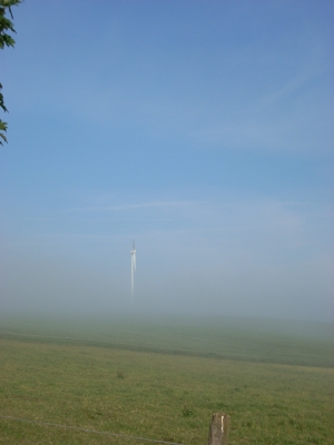 Morgennebel