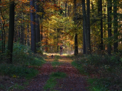 Herbst-Spaziergang