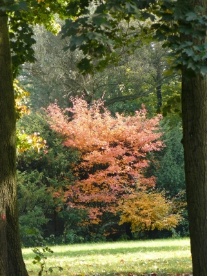 Herbst in Hamburg-Wilhelmsburg