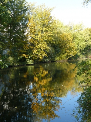 Herbst am Aßmannkanal in Hamburg-Wilhelmsburg