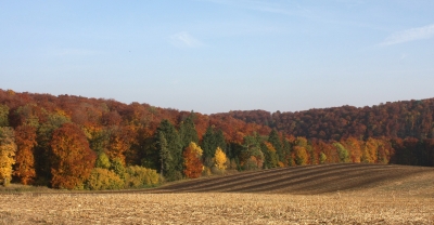 Herbst auf der Schwäbischen Alb