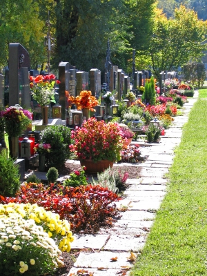 Friedhof in Österreich (1)