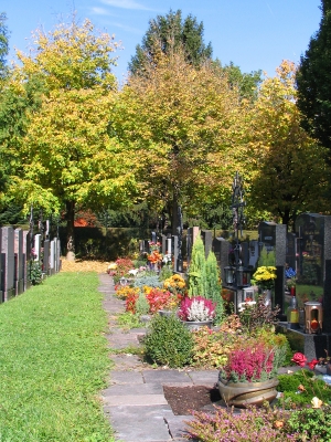 Friedhof in Österreich (3)