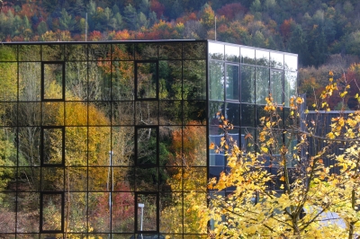 Glas und Herbst