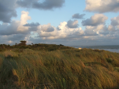 glühende Landschaft