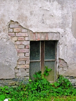 Kellerfenster