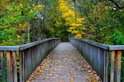 goldener oktober