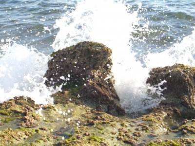 schwarzes Meer in der Türkei