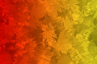Hintergrund - Herbstblätter