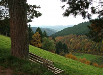 Talblick im herbstlichen Schwarzwald