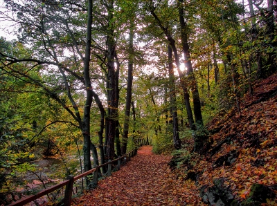 das wegerl im helenental