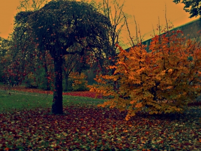 Herbst-1