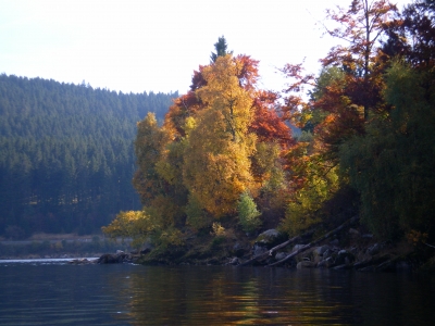 Herbst am Schluchsee #2