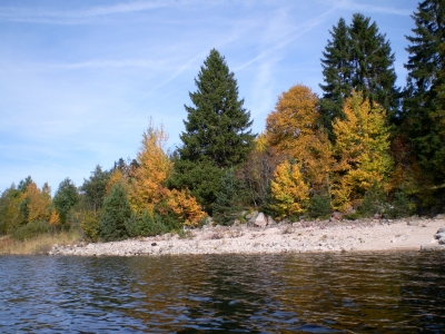 Herbst am Schluchsee #3